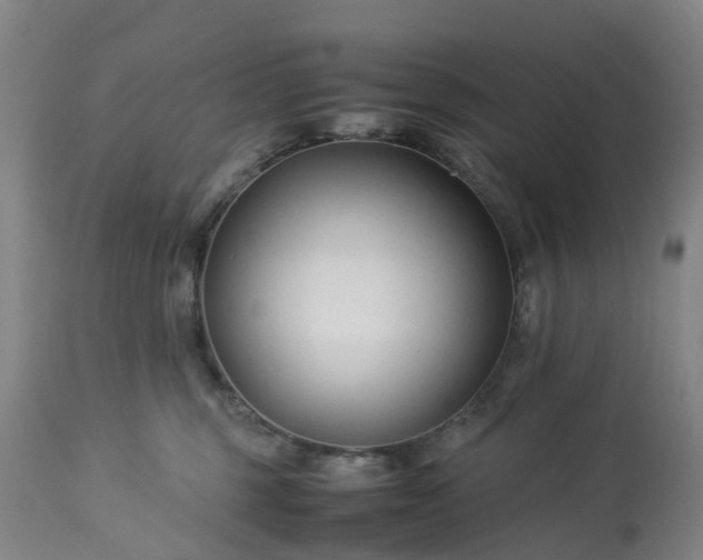 X0000113210375200909241430