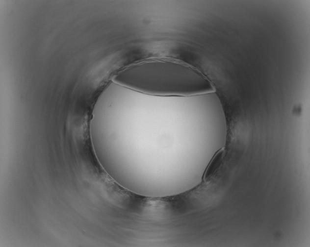 X0000113210376200909241430