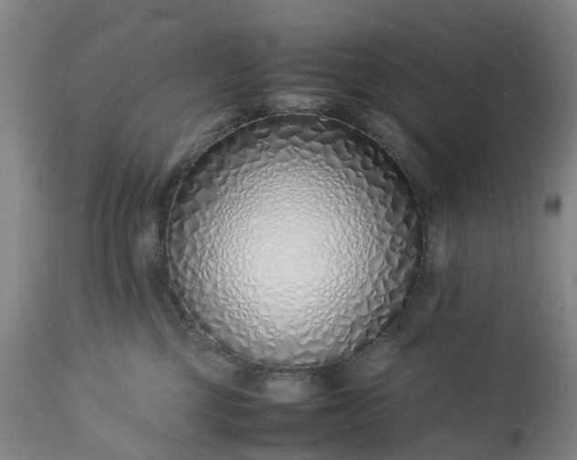 X0000113210377200909241430