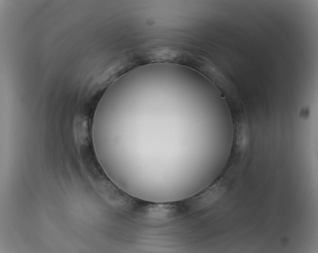 X0000113210378200909241430