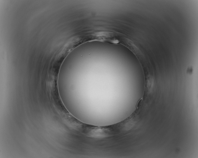 X0000113210379200909241430