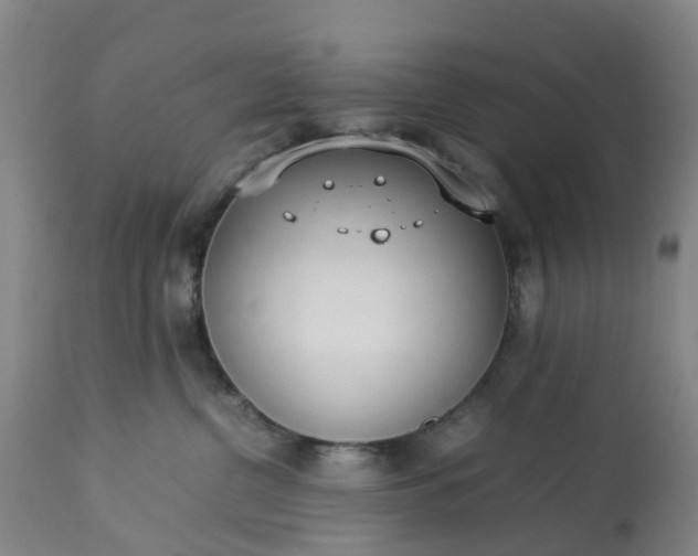 X0000113210380200909241430