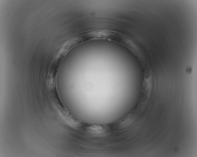 X0000113210381200909241430