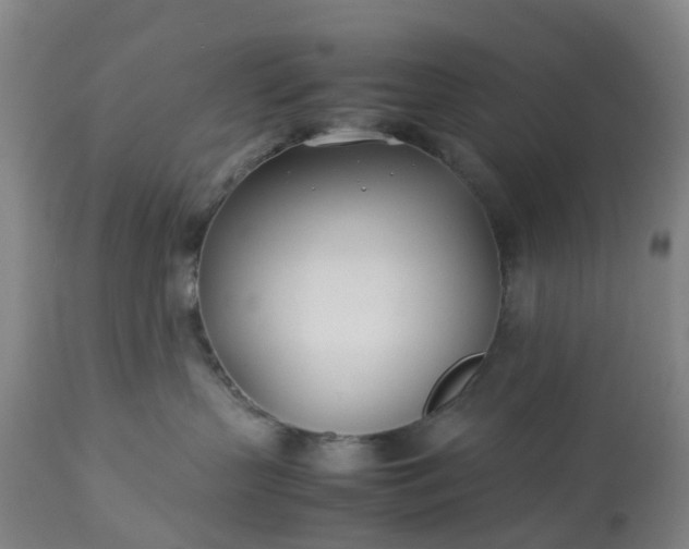 X0000113210383200909241430