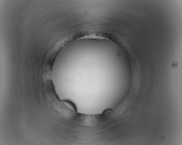 X0000113210384200909241430