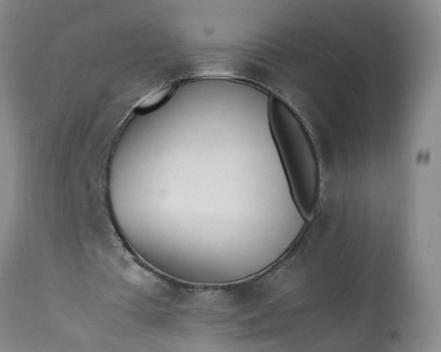 X0000113210385200909241429