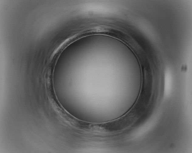 X0000113210387200909241429