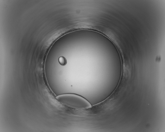 X0000113210389200909241429