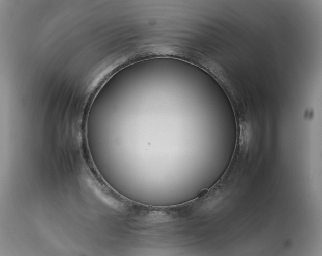 X0000113210390200909241429