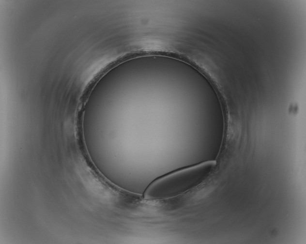 X0000113210391200909241429