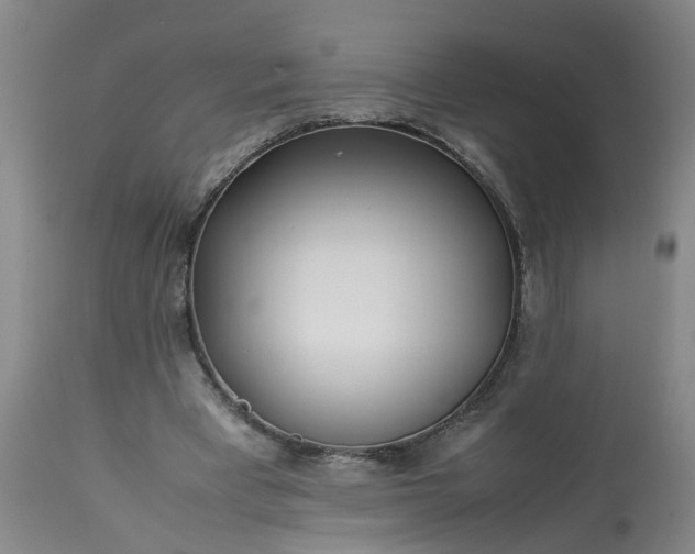 X0000113210393200909241429