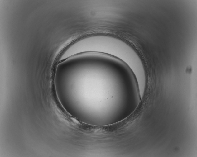 X0000113210395200909241429