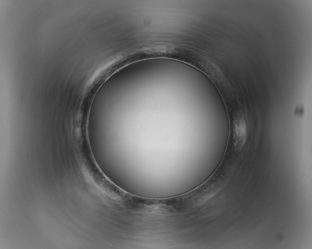 X0000113210396200909241429