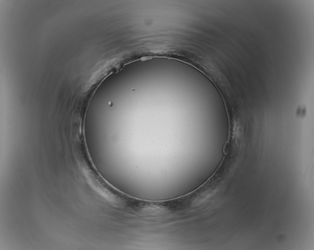 X0000113210397200909241429