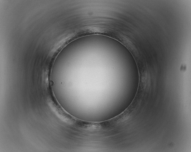 X0000113210398200909241429