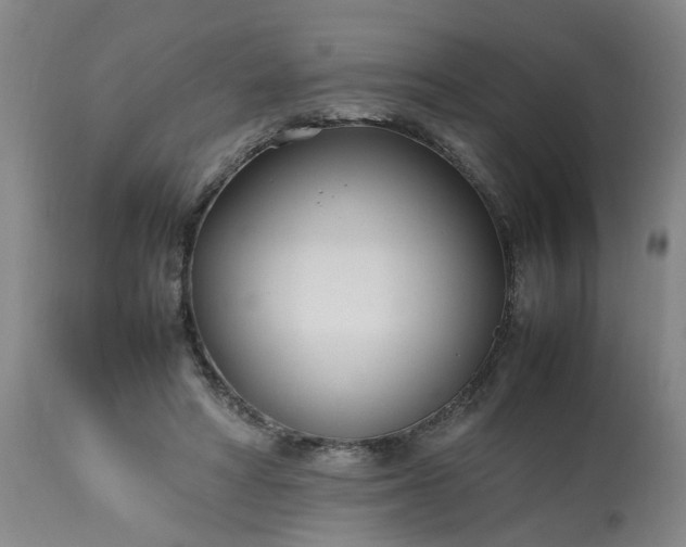 X0000113210402200909241429