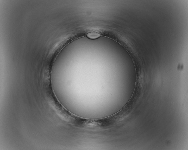 X0000113210407200909241428