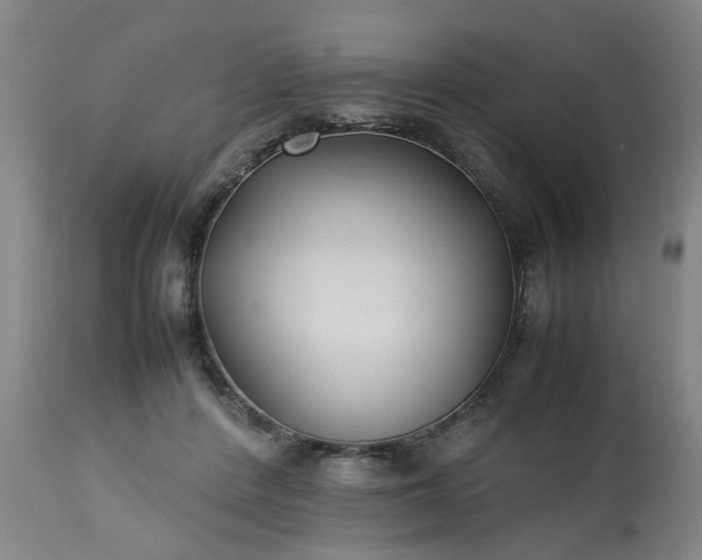 X0000113210408200909241428