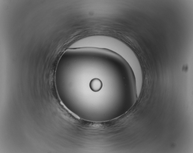 X0000113210409200909241428