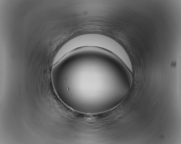 X0000113210411200909241428