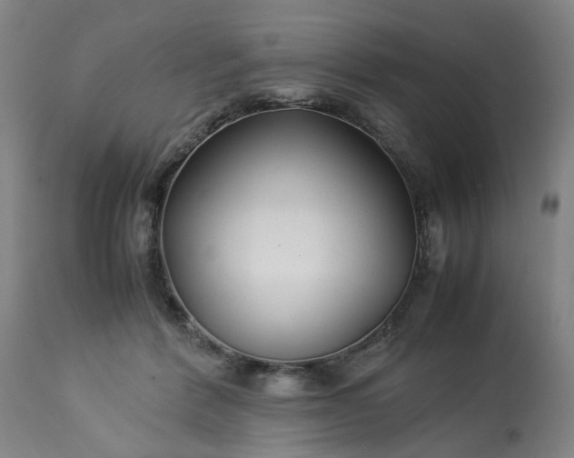 X0000113210412200909241428