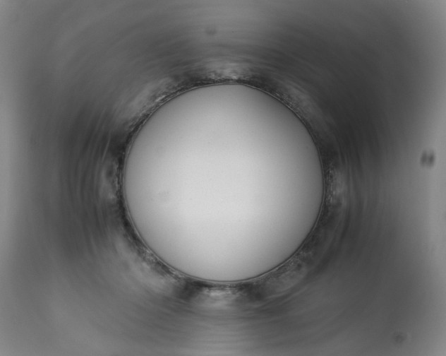 X0000113210414200909241428