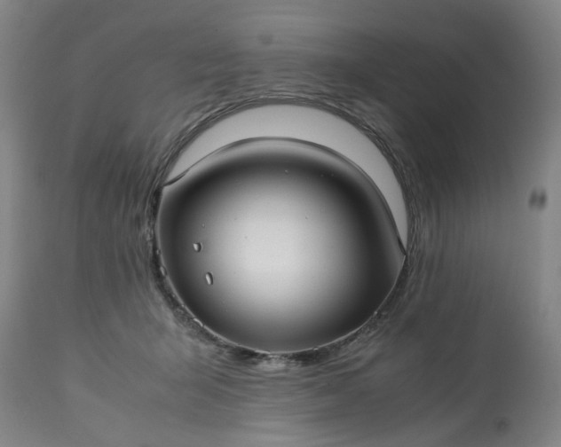 X0000113210415200909241428