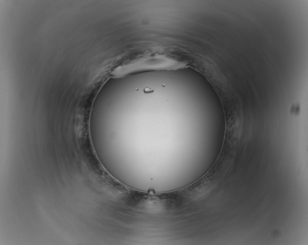 X0000113210416200909241428