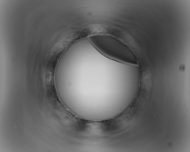 X0000113210417200909241428