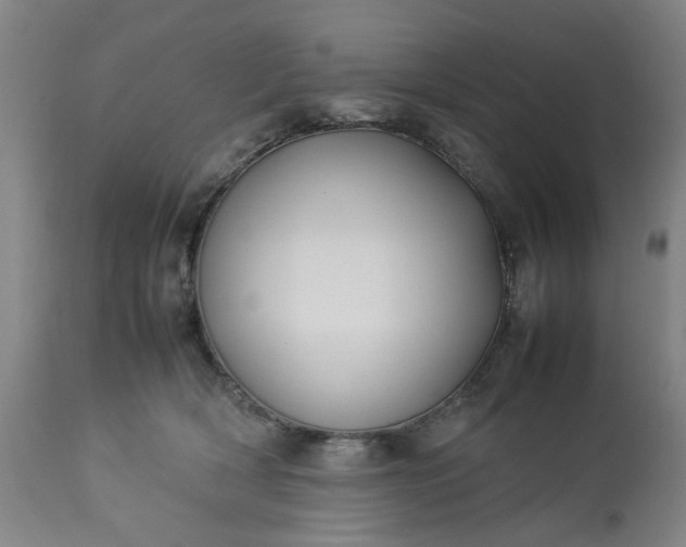 X0000113210418200909241428