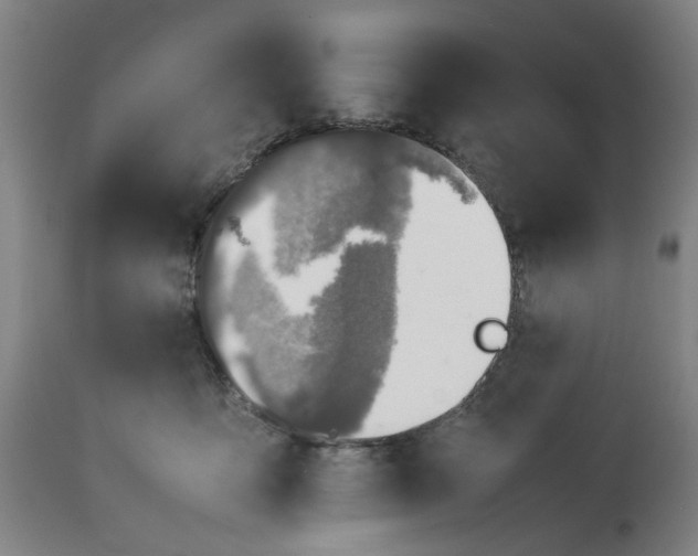 X0000113210419200909241428