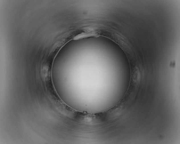 X0000113210420200909241428