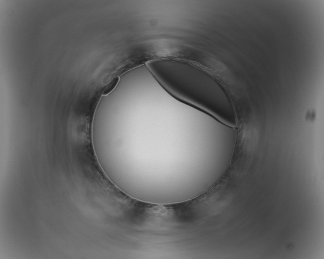 X0000113210421200909241428