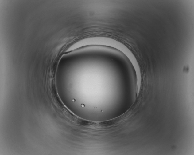 X0000113210423200909241428