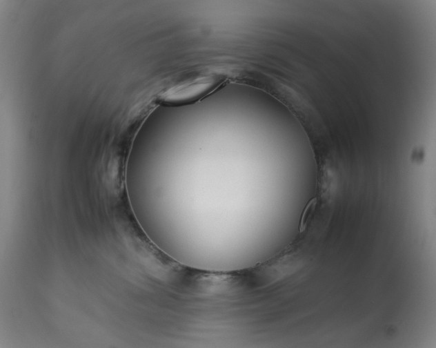 X0000113210428200909241428