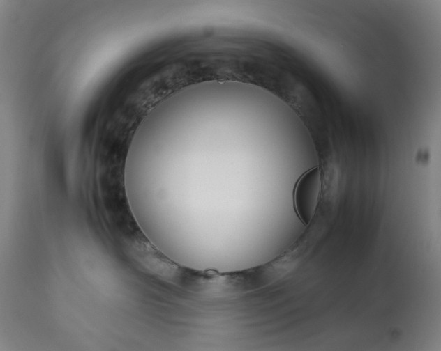 X0000113210430200909241428