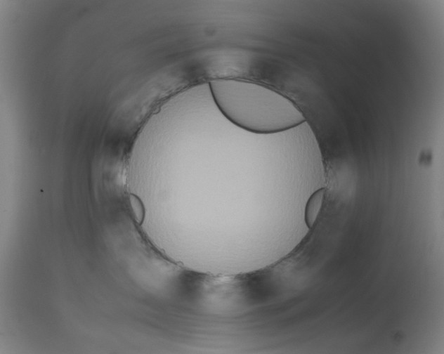 X0000113210431200909241428