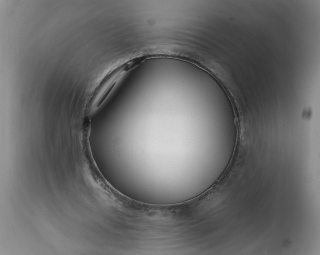 X0000113210434200909241427