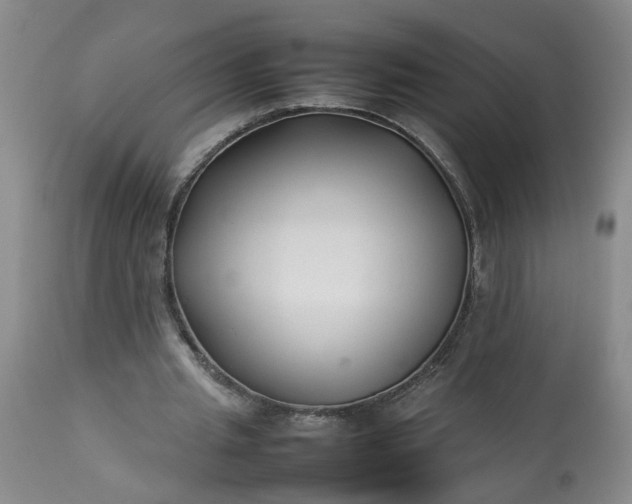 X0000113210437200909241428