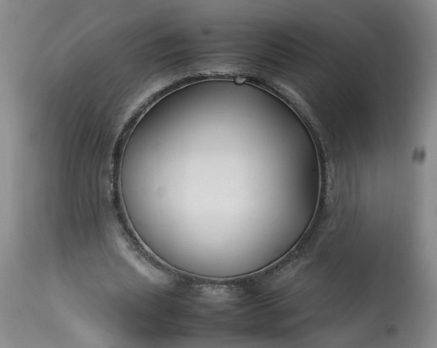 X0000113210439200909241428