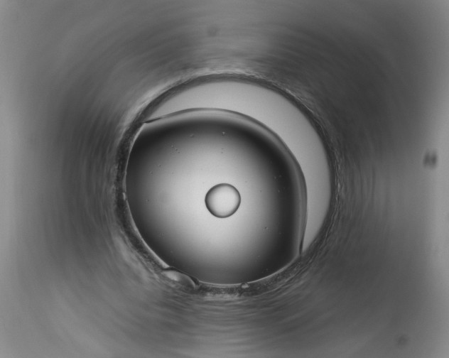 X0000113210440200909241428