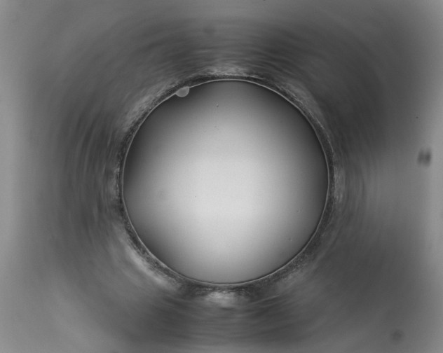 X0000113210441200909241428