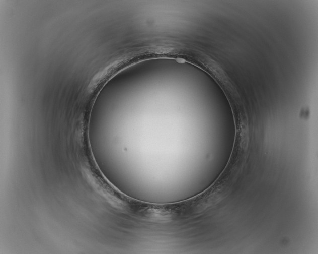 X0000113210442200909241428