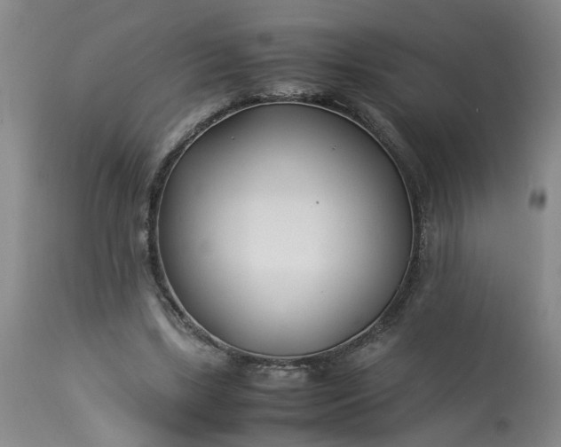 X0000113210443200909241428