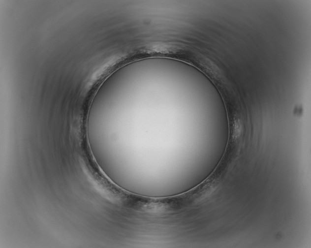 X0000113210444200909241428