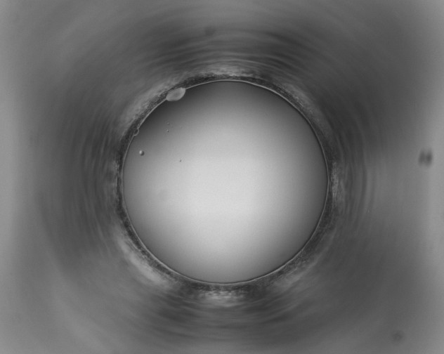 X0000113210445200909241428