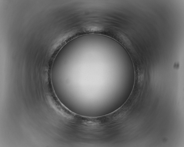 X0000113210447200909241428