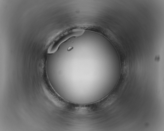 X0000113210448200909241428