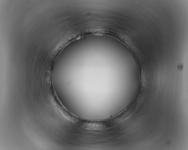 X0000113210449200909241428