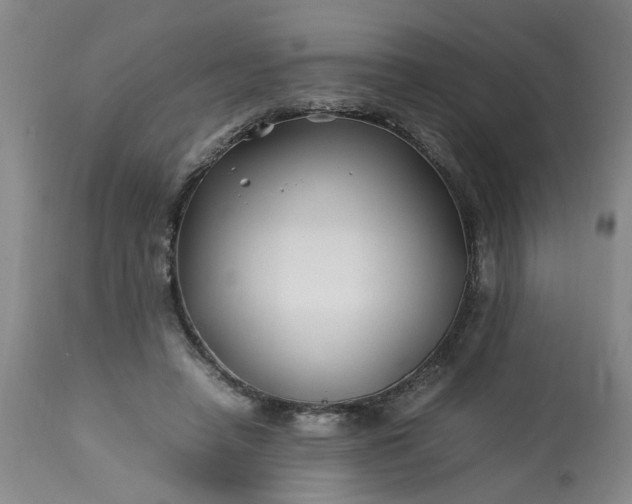 X0000113210450200909241428